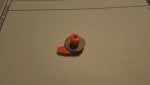 Ear Sea snail